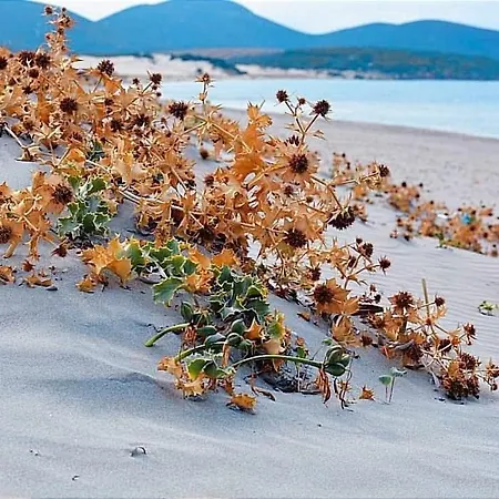 Гостевой дом Il Salvatore