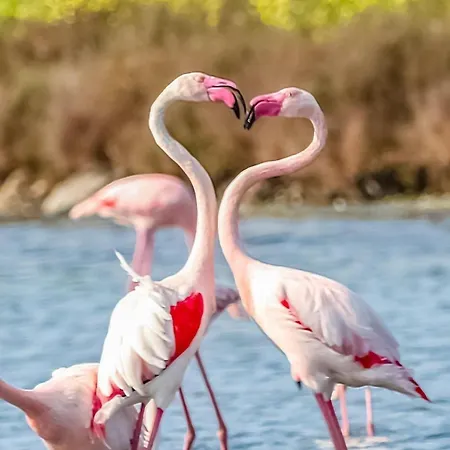 Il Salvatore Pensionat