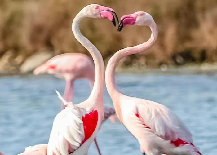 Il Salvatore Vendégház