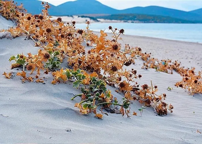 Vendégház Il Salvatore